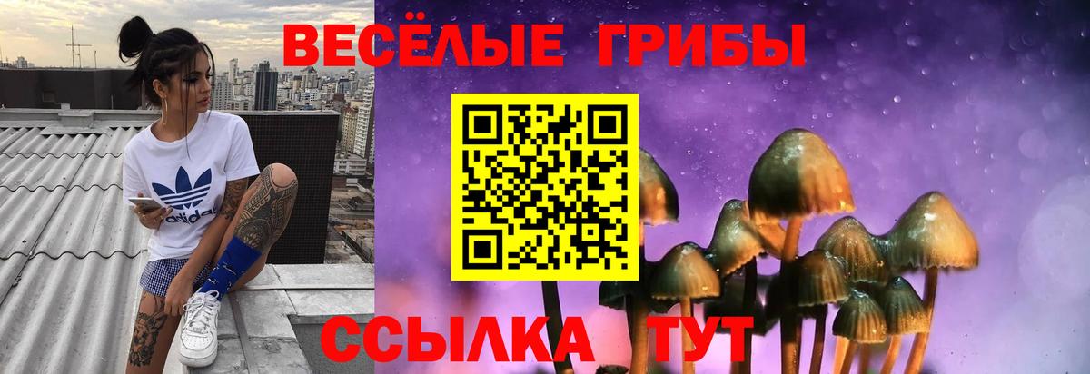 Псилоцибиновые грибы Cubensis Казань